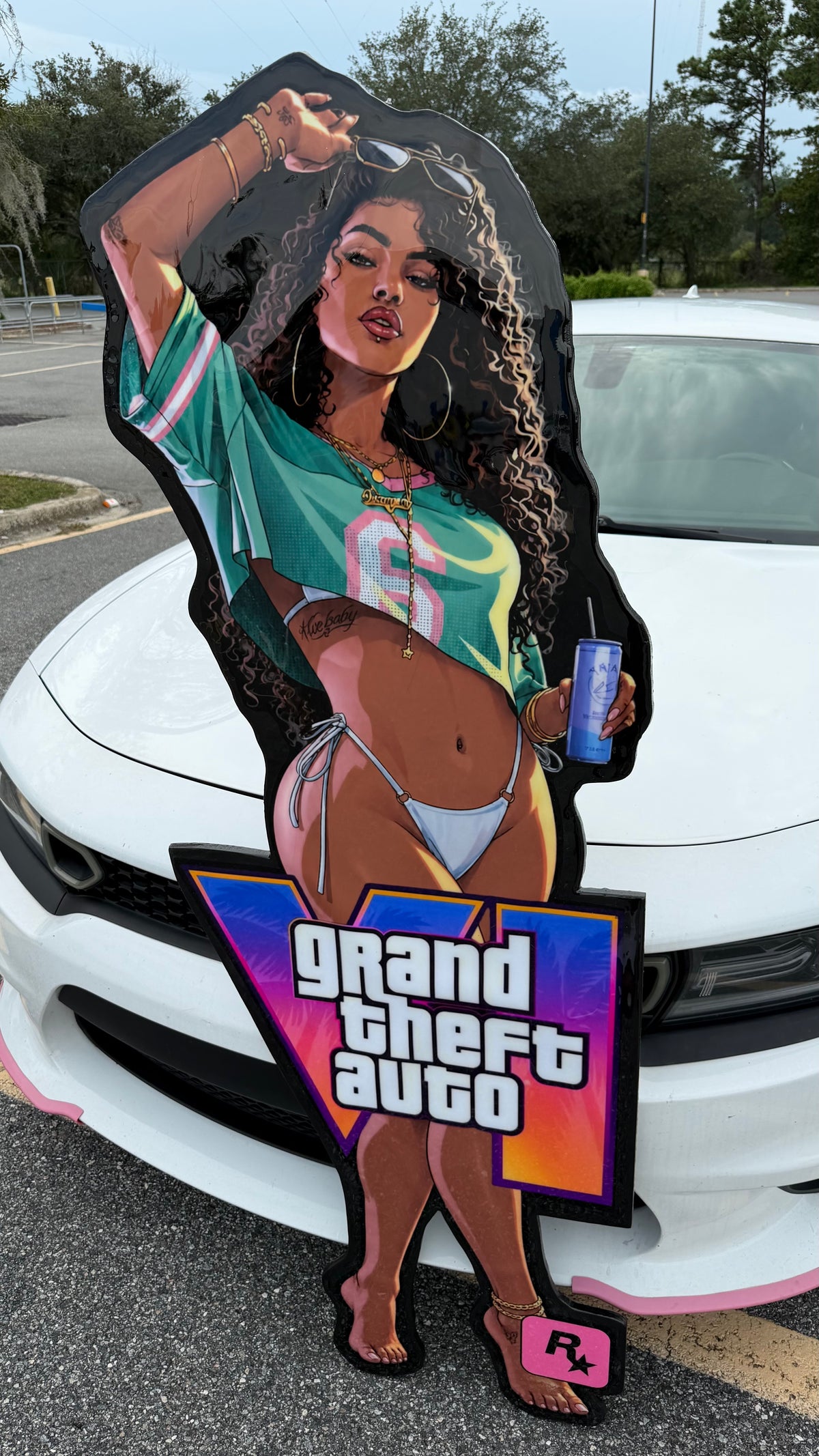 6 FOOT- GTA VI INSPIRED WALL ART (6'x2')