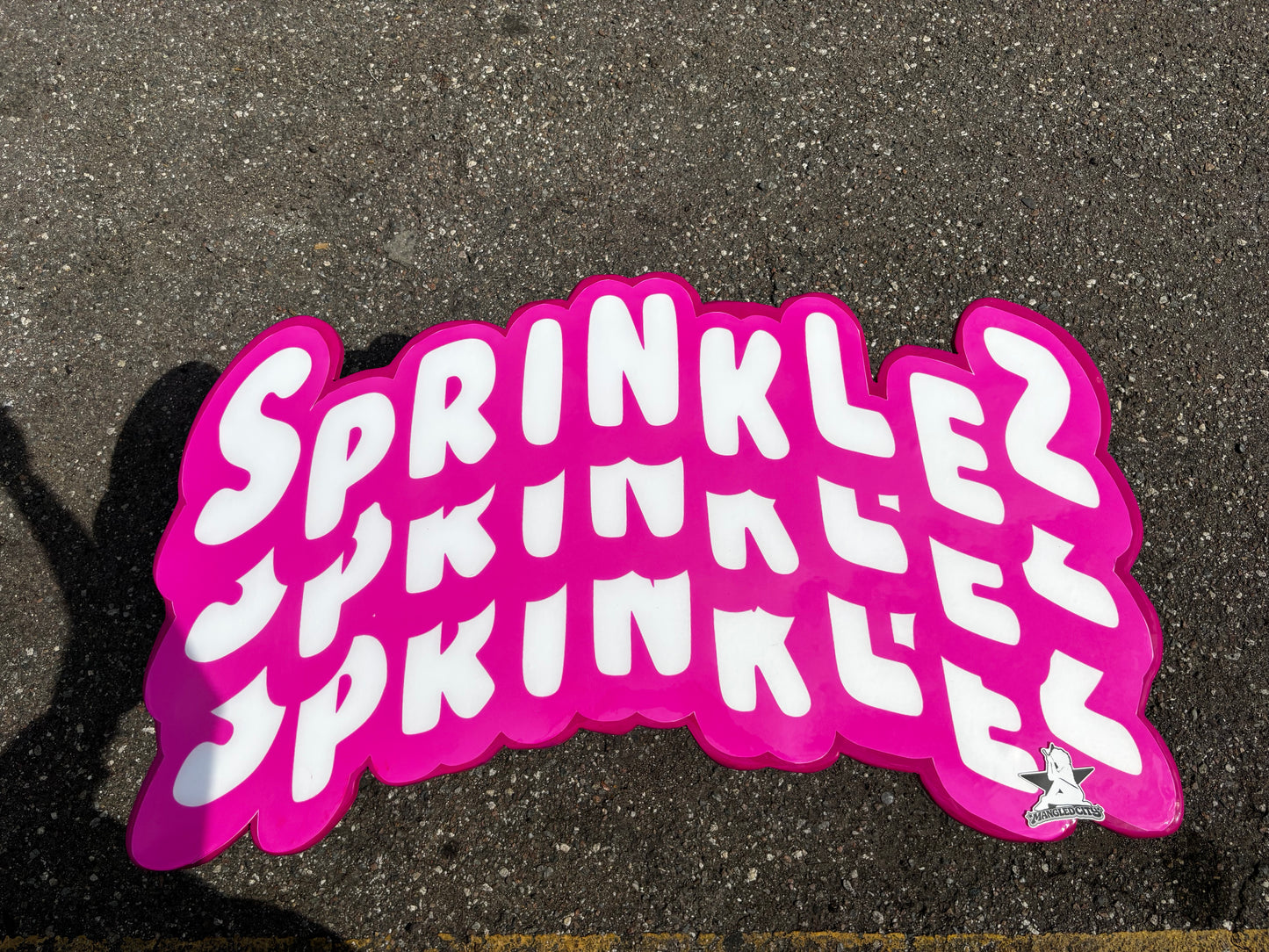 SPRINKLEZ STYLE EPOXY ART TABLE / WALL ART (22"x40")