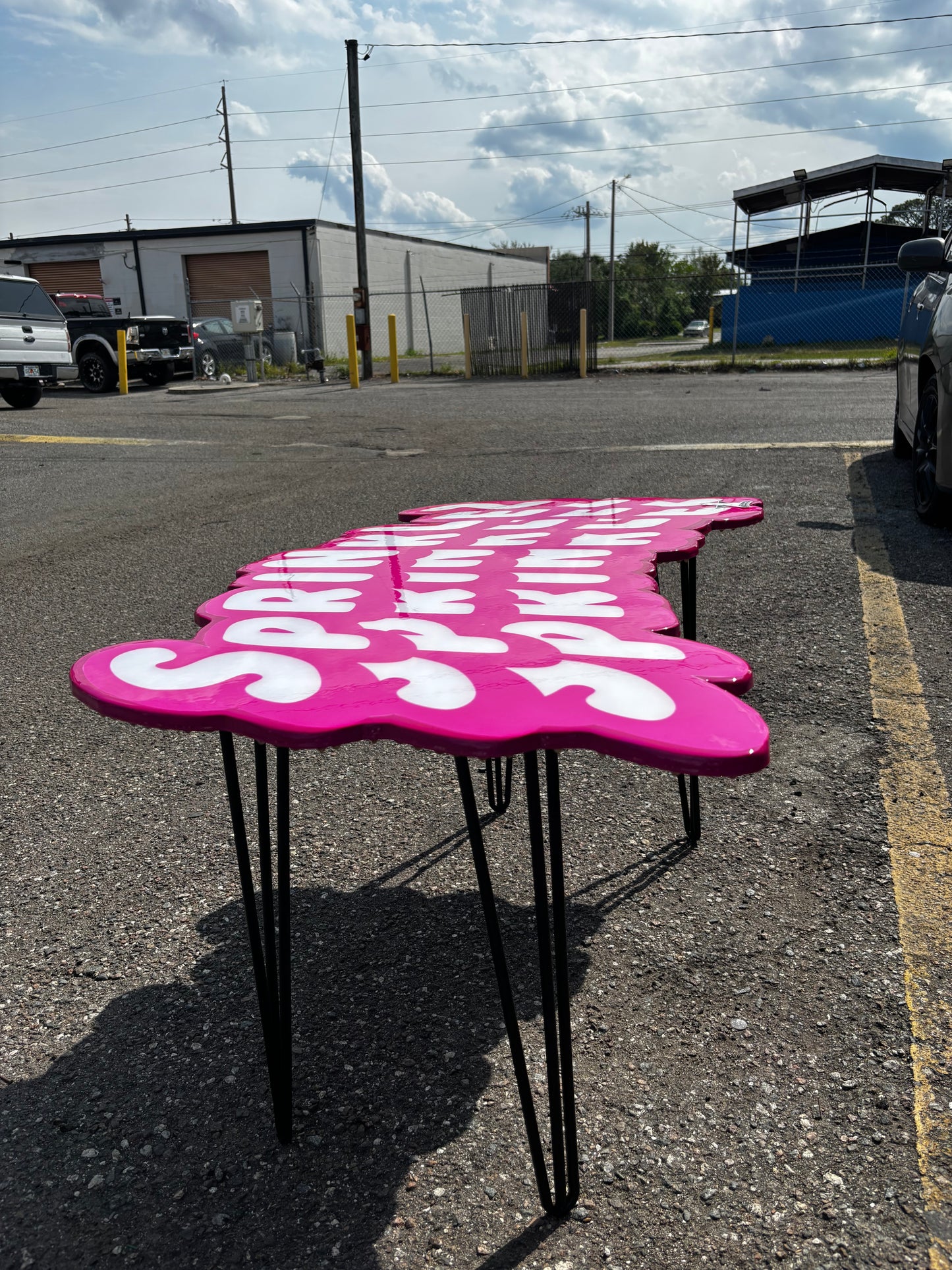 SPRINKLEZ STYLE EPOXY ART TABLE / WALL ART (22"x40")